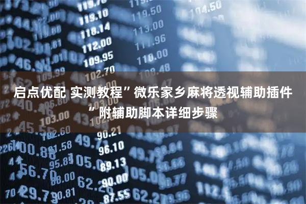 启点优配 实测教程”微乐家乡麻将透视辅助插件”附辅助脚本详细步骤